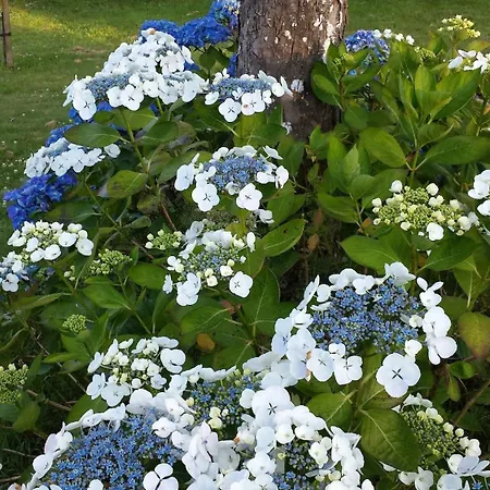 Luxury Rural Retreat Ideal For Families With A Jacuzzi Hot Tub بيت للعطل Yvrandes