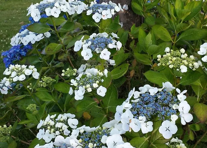 Luxury Rural Retreat Ideal For Families With A Jacuzzi Hot Tub Дом отдыха Yvrandes