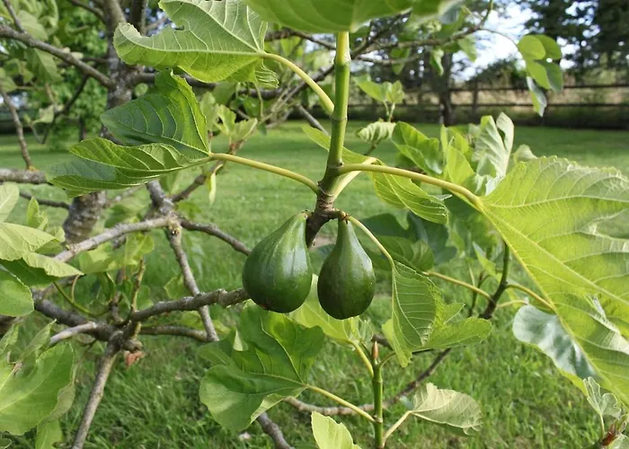 Luxury Rural Retreat Ideal For Families With A Jacuzzi Hot Tub Дом отдыха Yvrandes